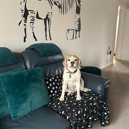 Hereford - Finch House - Modern 4 Bedroom House Located In South Hereford, Dog Friendly With Nearby Countryside, Pool Table, Sleeps Up To 10 Guests - Hosted By Rentmyhouse Esterno foto