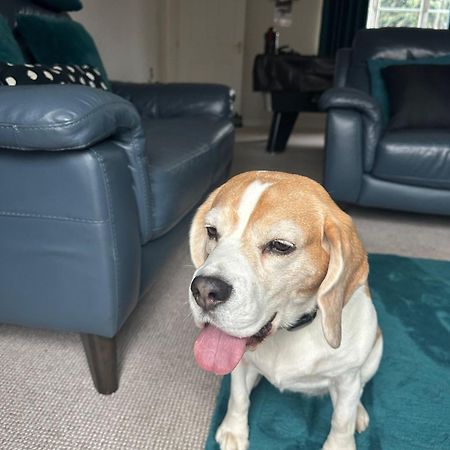 Hereford - Finch House - Modern 4 Bedroom House Located In South Hereford, Dog Friendly With Nearby Countryside, Pool Table, Sleeps Up To 10 Guests - Hosted By Rentmyhouse Esterno foto